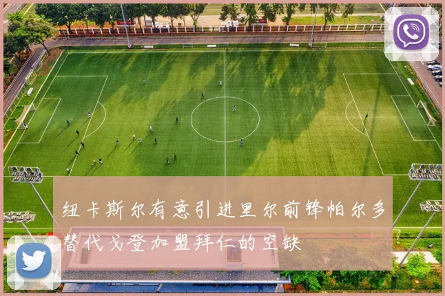 纽卡斯尔有意引进里尔前锋帕尔多替代戈登加盟拜仁的空缺