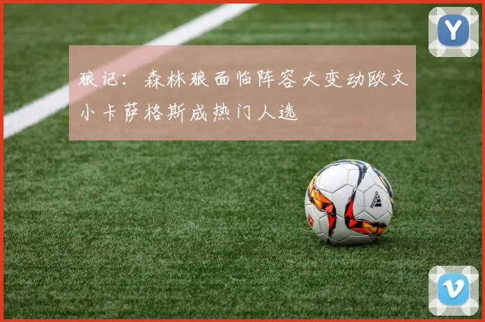 狼记：森林狼面临阵容大变动欧文小卡萨格斯成热门人选